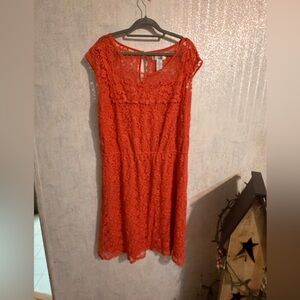 Pinky Coral Lace Midi Dress, Cotton Blend, Sz 2x Beautiful